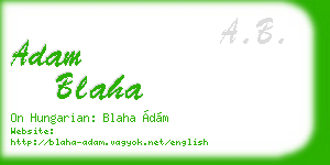 adam blaha business card