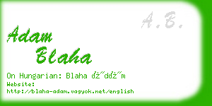 adam blaha business card